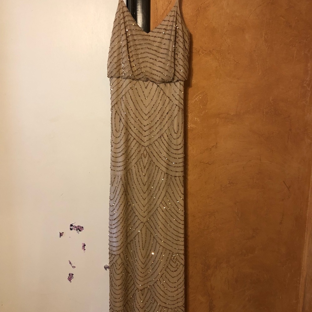 Adrianna Papell Gown